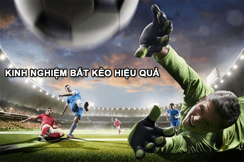 Lựa chọn chiến thuật chơi hiệu quả và chuyên nghiệp